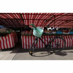 HAPO-G Panier Vélo Avant Trendy One -Antivols Vélo Soldes Boutique panier trendy one fixation avant mts3 bleu clair 2