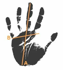 Tucano Urbano Gant Vélo Urbain 5 Tucano Urbano Gant Vélo Urbain – Image 3